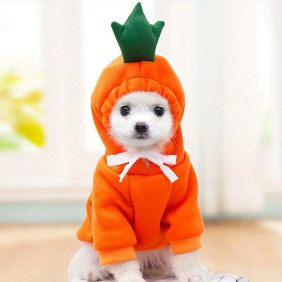 Winter Plush Dog Hoodie – Fruit/Frog Cosplay