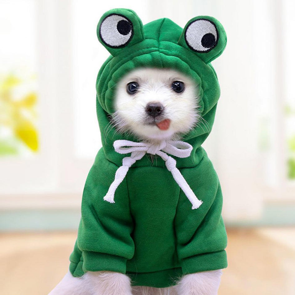 Plush Fruit Dog Hoodie