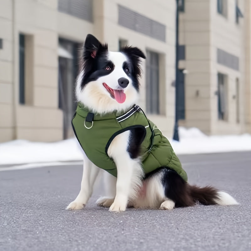 Winter Dog Jacket with Harness (S–5XL)