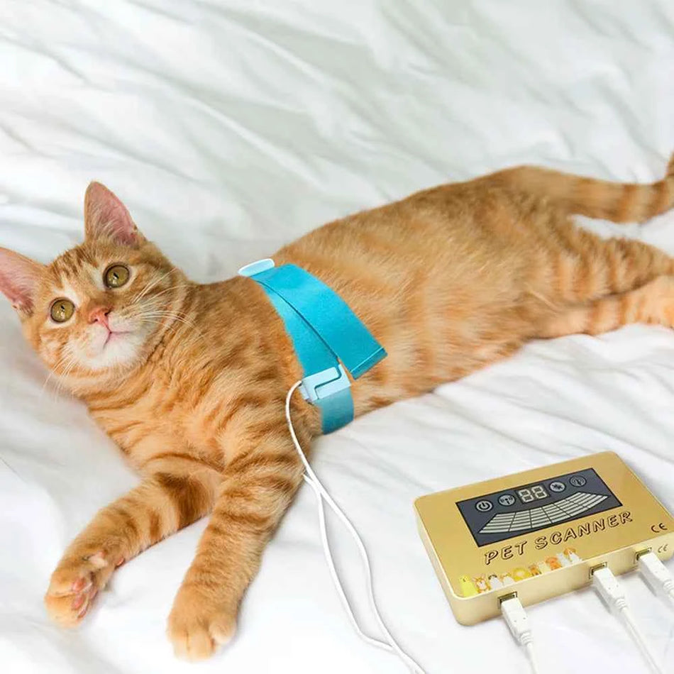 Quantum Resonance Magnetic Analyzer Scanner Tester