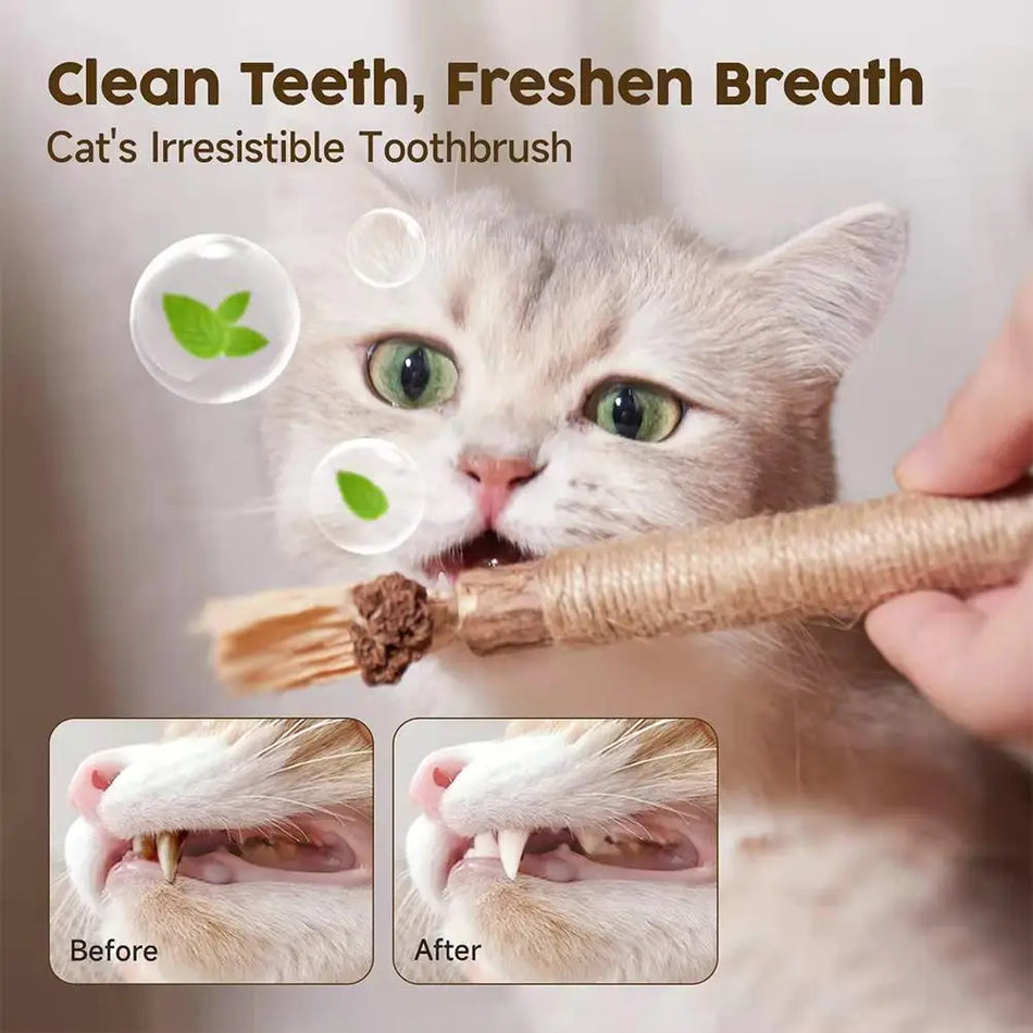 1Pc Cat Toys Chew Stick Pet Snacks Sticks Natural