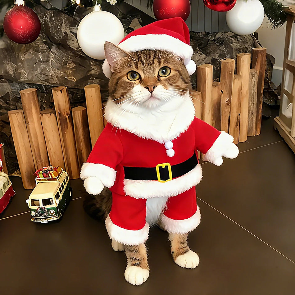 Christmas Pet Costumes Cute Kitten Santa Claus Clothes For