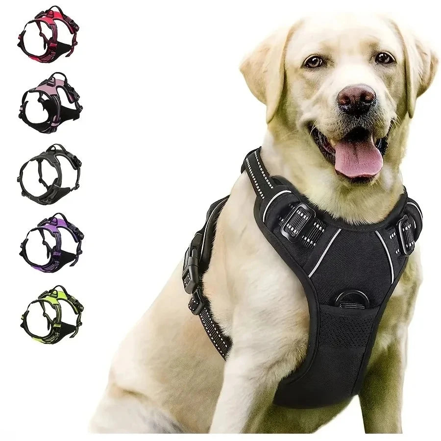 Collars Harness Big Vests Leash Shop