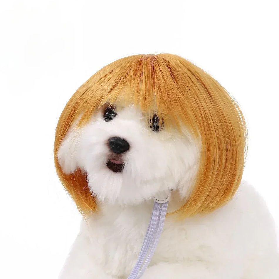Pet Wig Dog Wig Pet