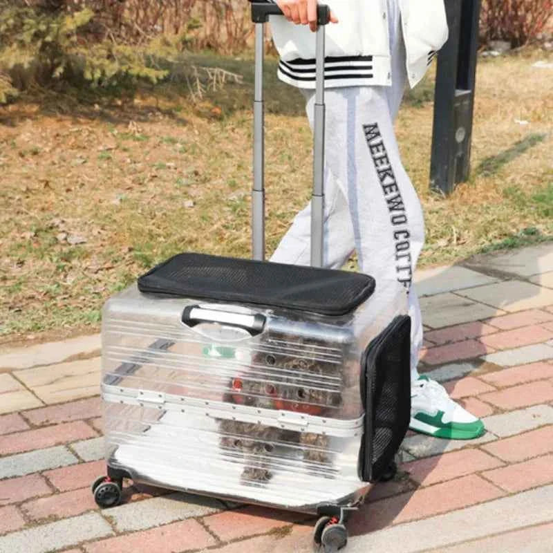 Pet Trolley Case for Travel, Transport Bag, Carriers and Strollers, Expds for Walk, Cat's Accessories, Pet Backpack, Travel Prod