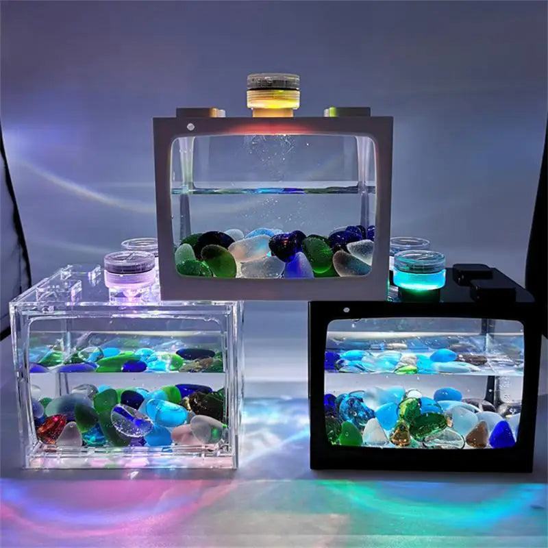 1Pcs Aquarium Mini Fish Tank Reptile