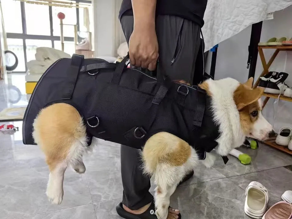 Pet Travel Backpack Sizes Shoulder