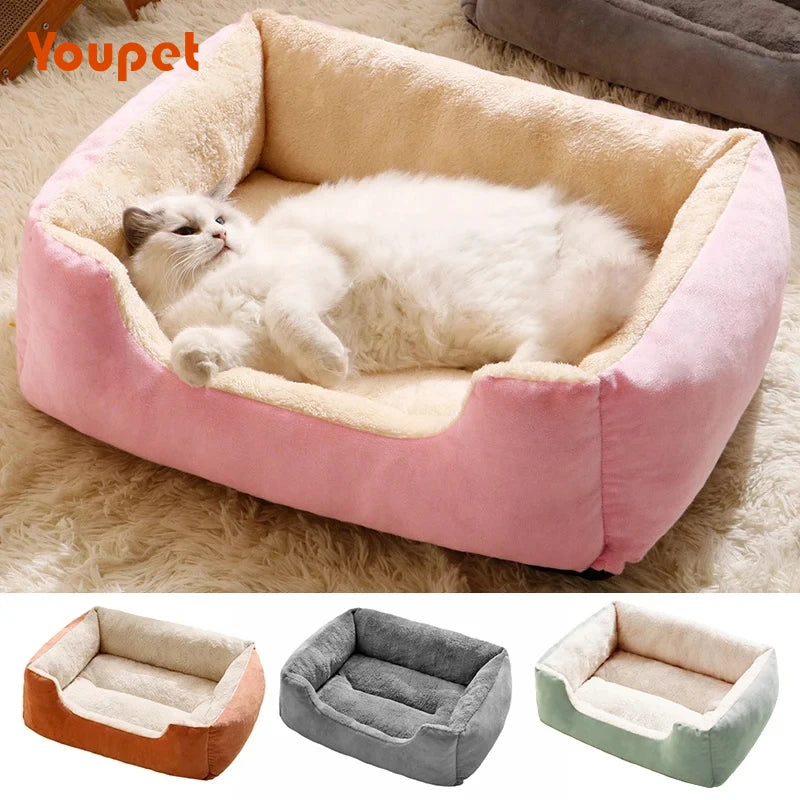 Bed Products Cushions Kitten Winter Accessories