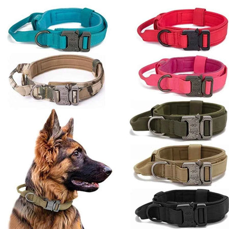 Collar Leash Set Nylon Material Collar