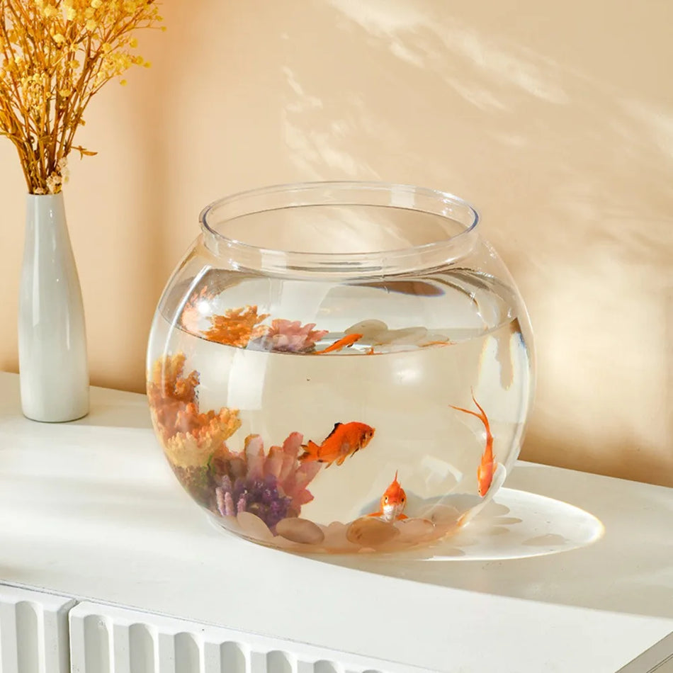 Fish Bowl Small Aquariums