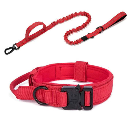 Collar Leash Set Nylon Material Collar