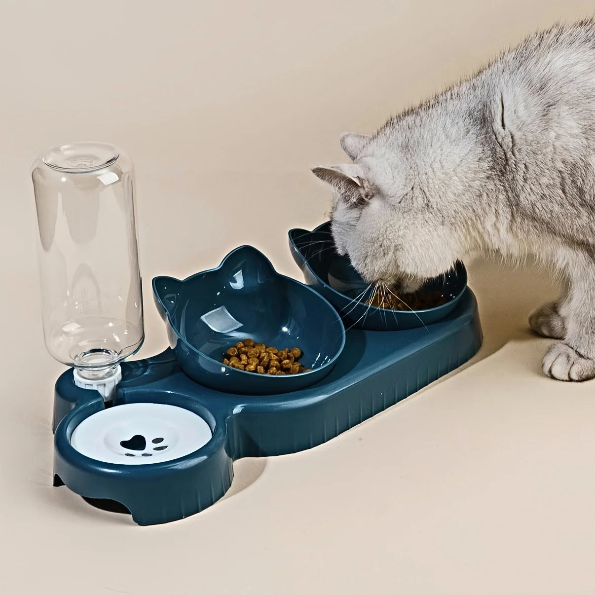 Bowls Water Feeder Ear Design Tilted