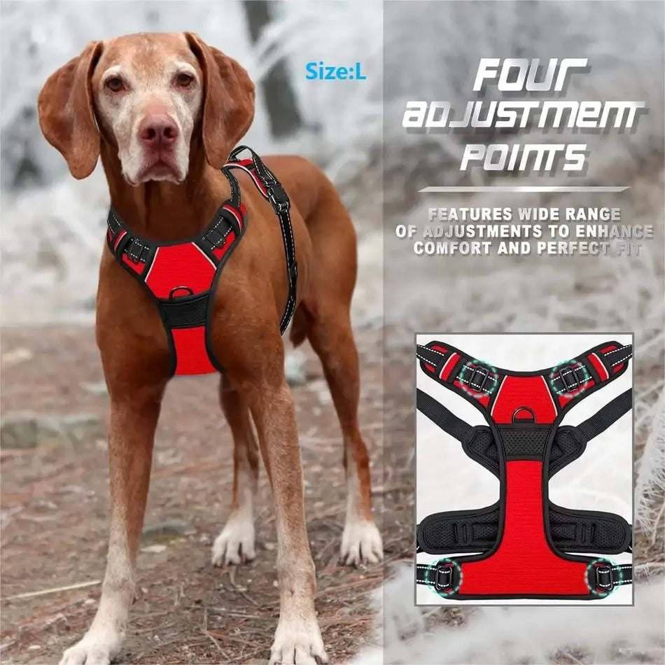 Collars Harness Big Vests Leash Shop