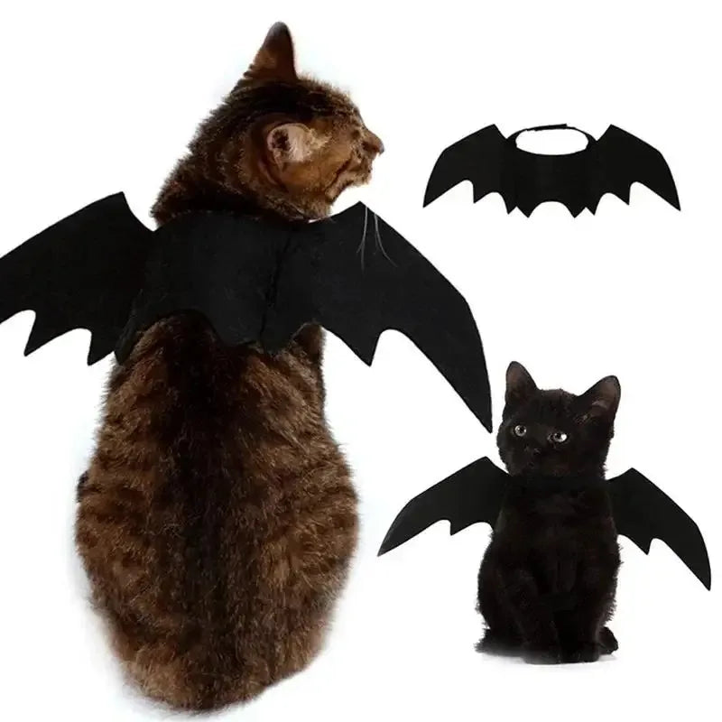 Halloween Cute Pet Clothes Black