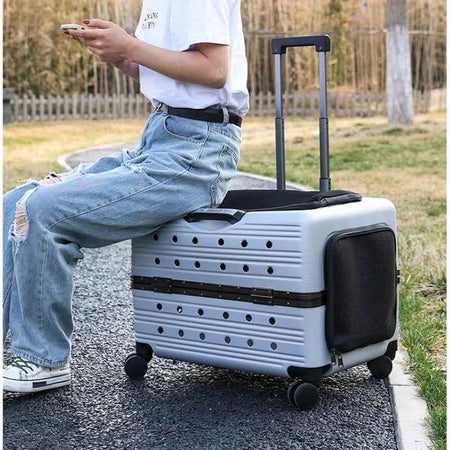 Pet Trolley Case for Travel, Transport Bag, Carriers and Strollers, Expds for Walk, Cat's Accessories, Pet Backpack, Travel Prod