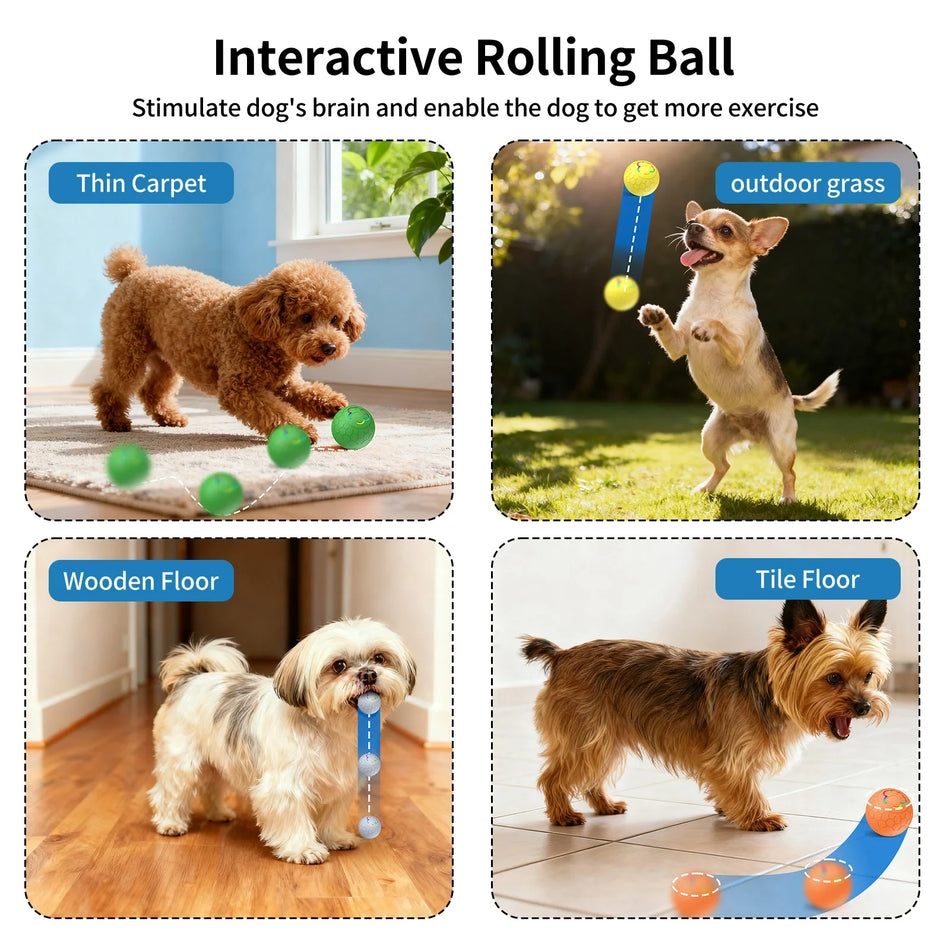 Dog Toy Balls: Interactive Dog Ball,