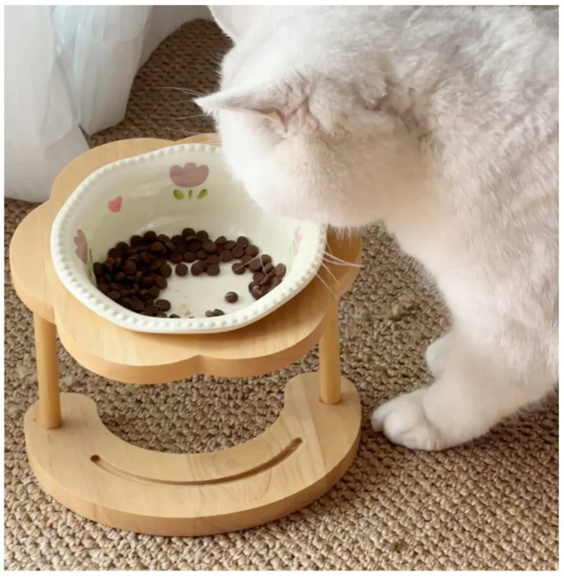 Elevated Ceramic Bowls Wooden Stand Non