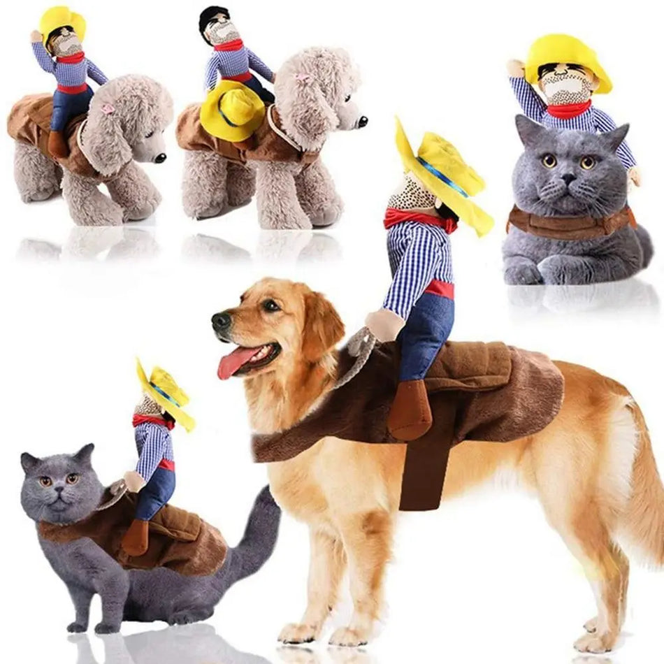 For Small Dogs Halloween With