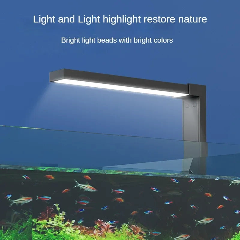 Small Fish Tank Led Lamp Fans