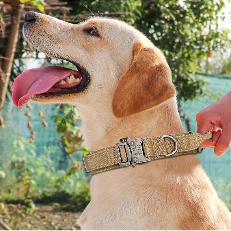 Collar Leash Set Nylon Material Collar