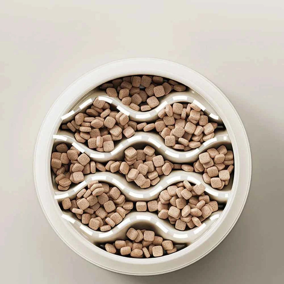 Cat Bowls & Food Dishes - Anti-Splash Pet Feeding Set, Slow Feeder Bowl to Prevent Choking, Ideal for Cats to Eat Slowly