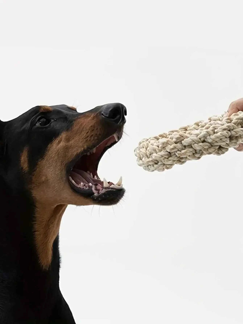 Rope Toy Chew Bite Resistant Toys