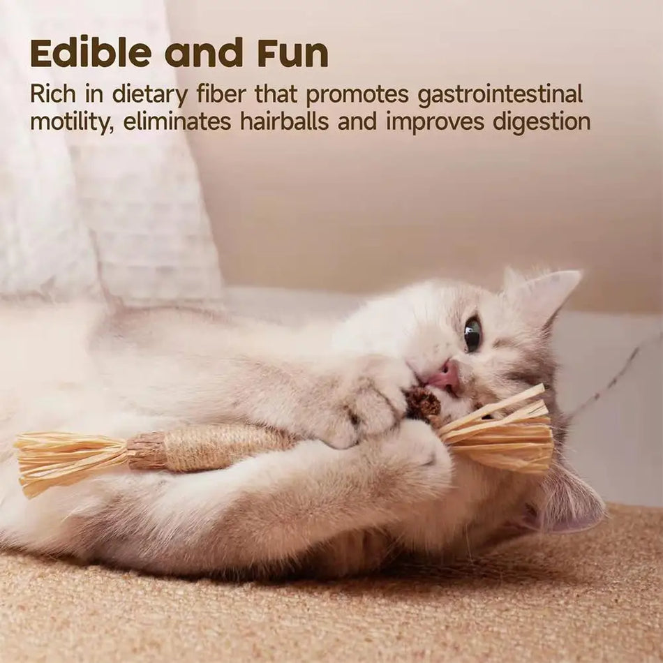 1Pc Cat Toys Chew Stick Pet Snacks Sticks Natural