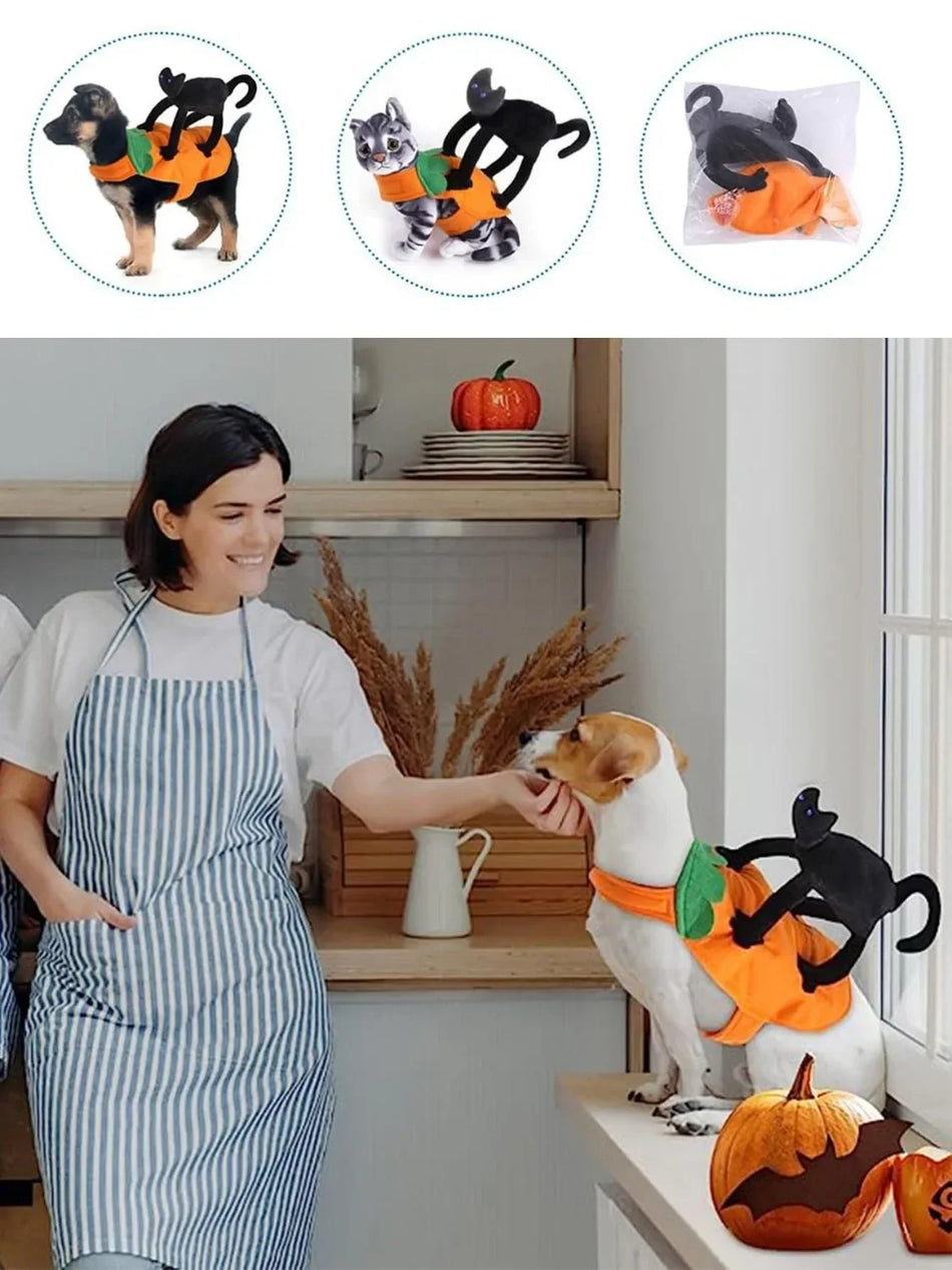 Halloween Pet Costume Pumpkin Black