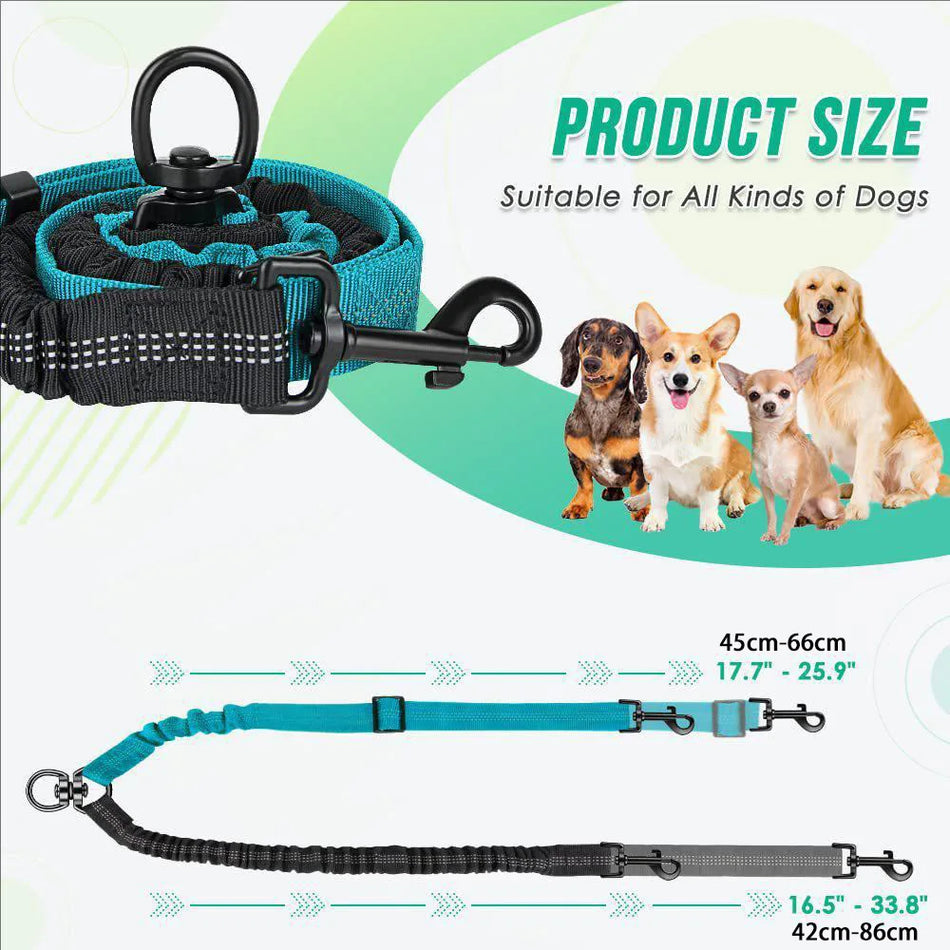 Double Leashes Leash Rope Elastic Extended