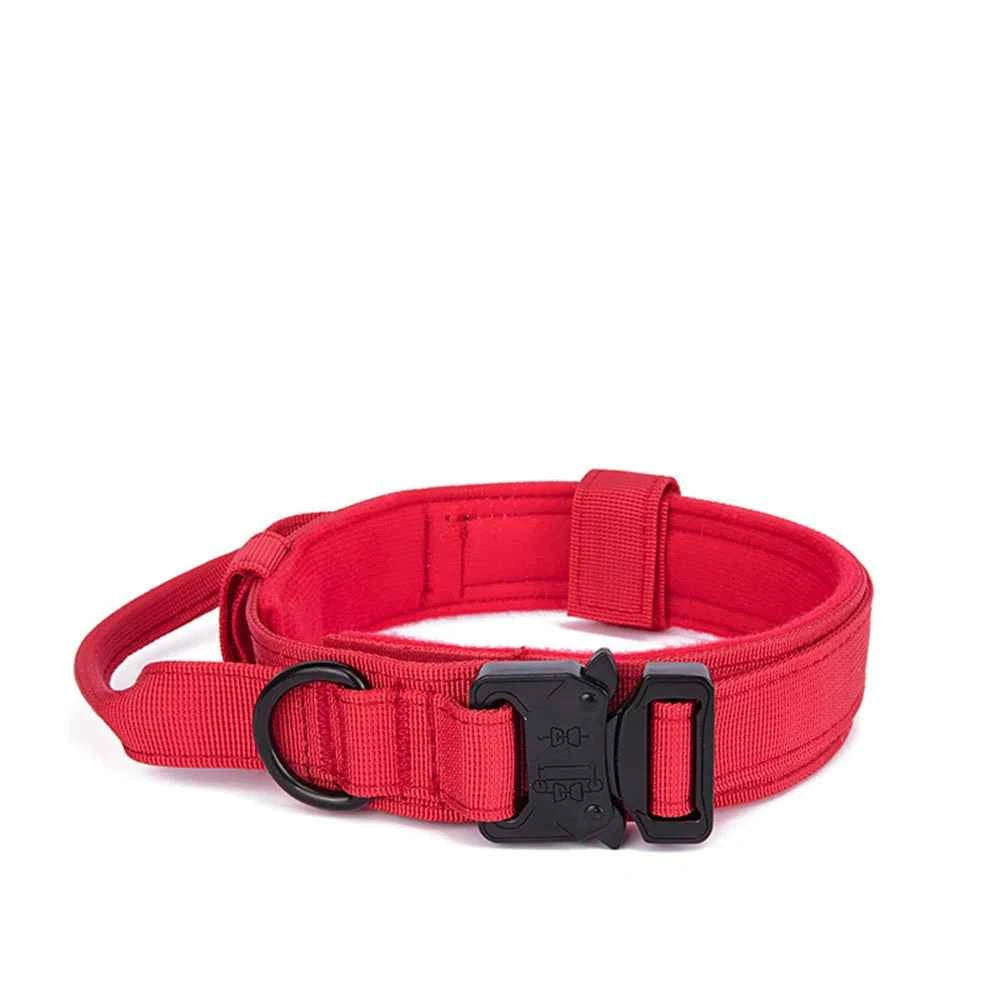 Collar Leash Set Nylon Material Collar