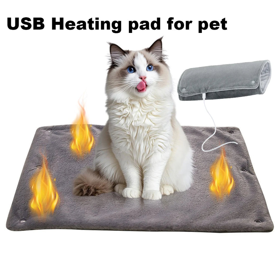 Winter Heating Blanket Temperature Warm Mattress