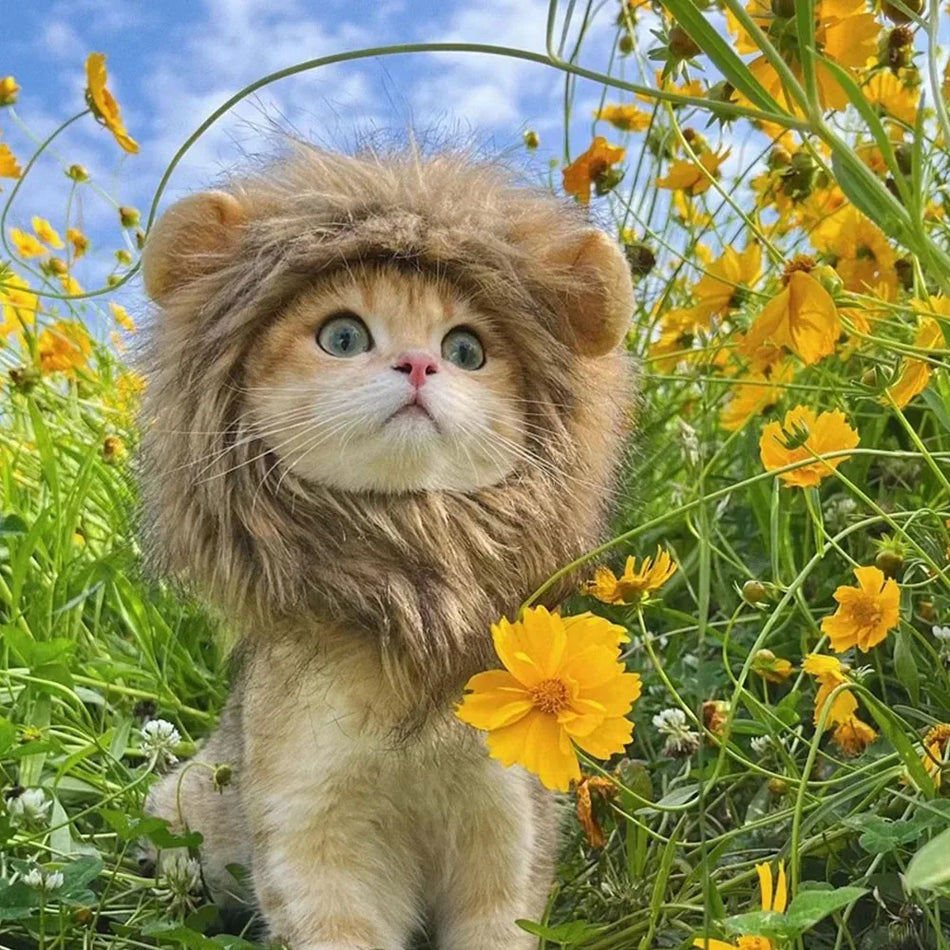 Pet Hood Decorative Cat Lion