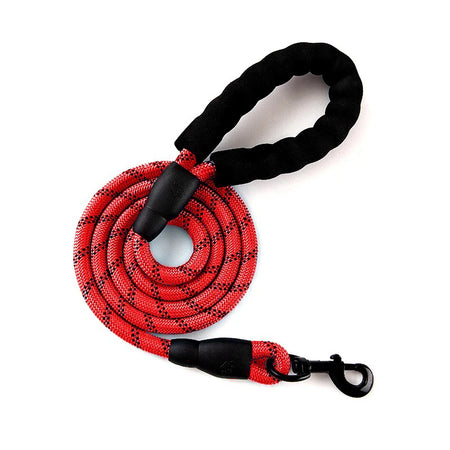 2m Leash Soft Padded Handle Highly
