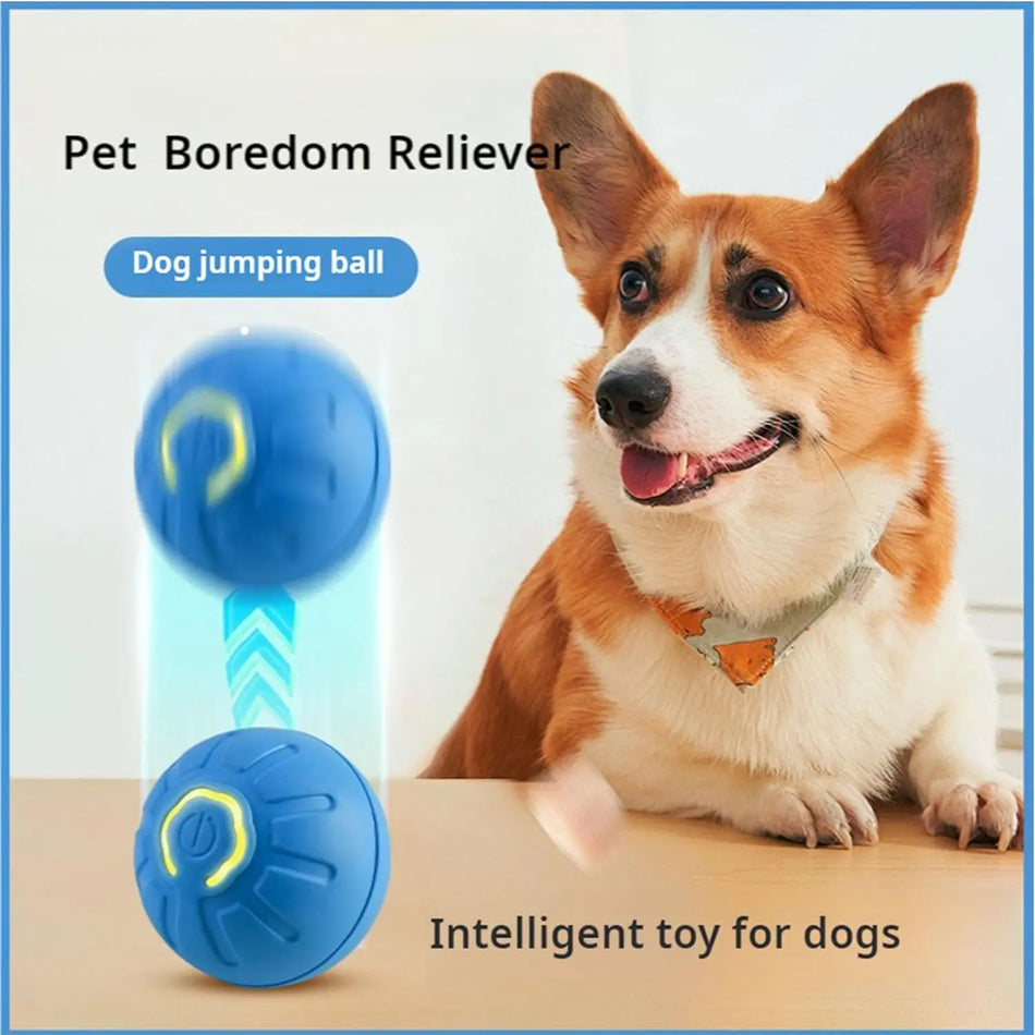 Dog Ball,Automatic Bouncing Ball