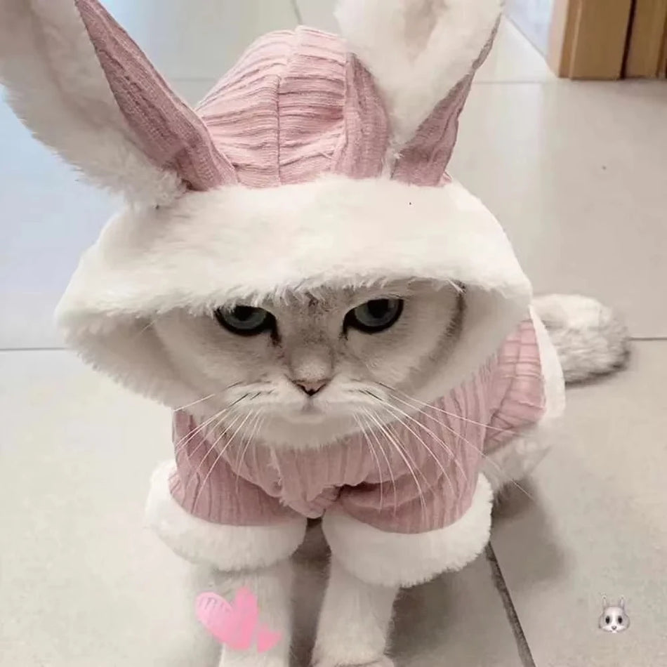 Lovable Cat Clothes Pet Autumn