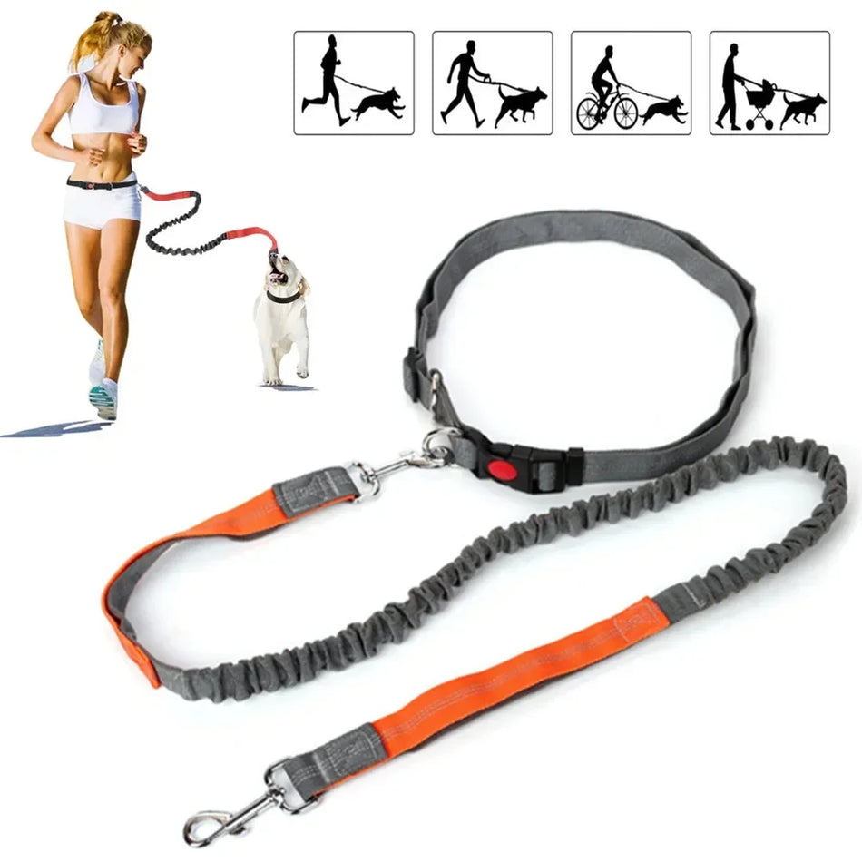 Retractable Dog Leash With Adjustable Waist Rope Hand Free