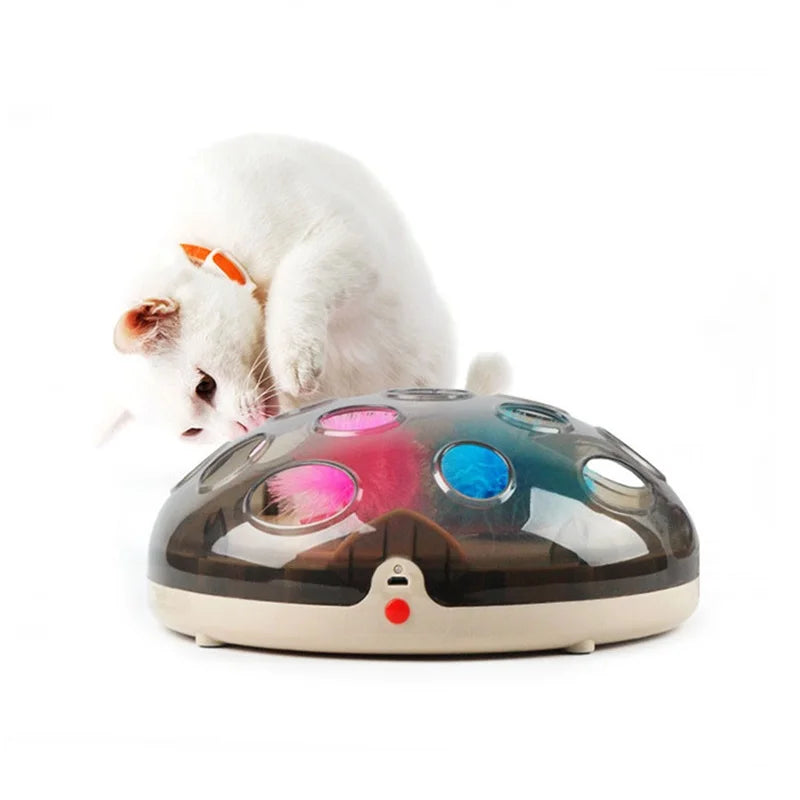 Electric Cat Toy Turntable Pet Interactive
