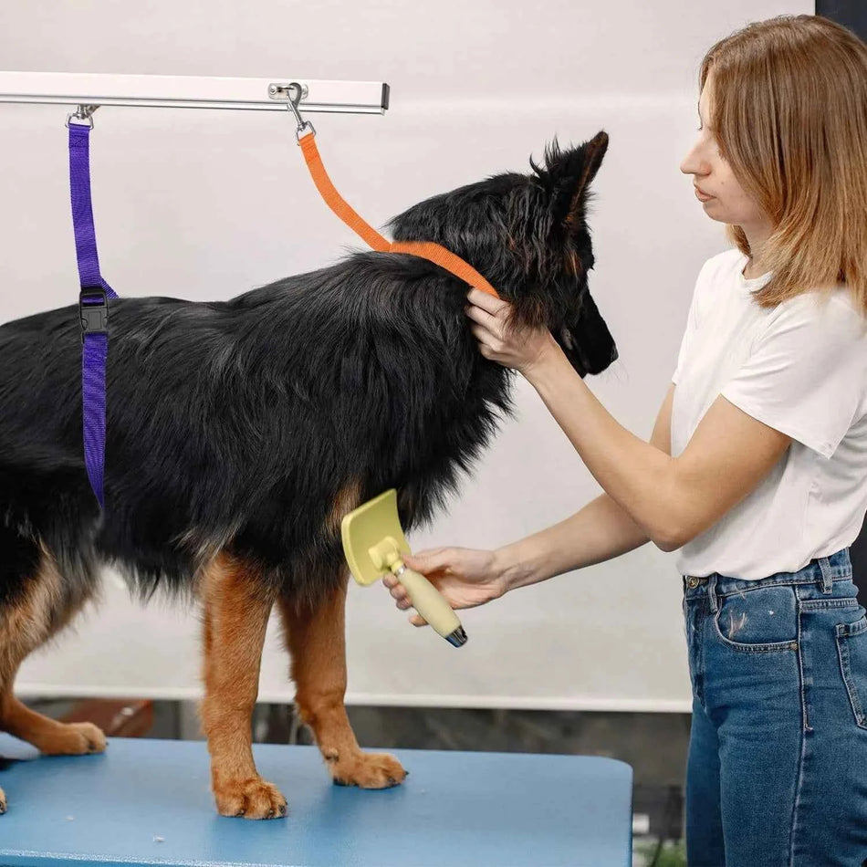 Grooming Loops Grooming Set Straps Bathing