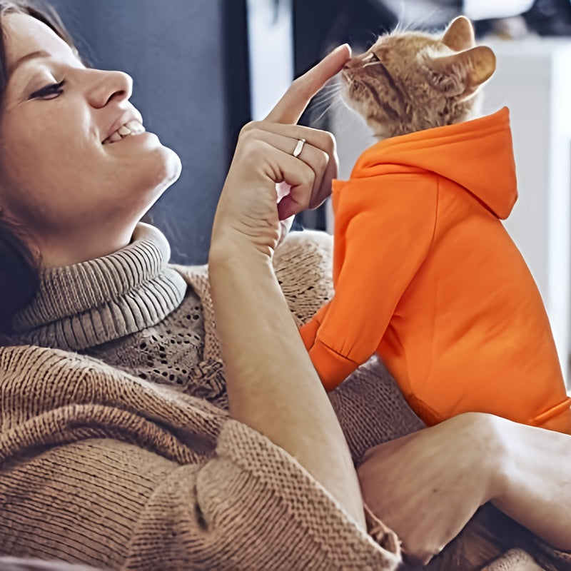 6-Pack Small Dog Winter Hoodie Set (Assorted Colors)